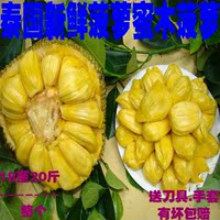 正宗泰国菠萝蜜干苞菠萝蜜果木菠萝假榴莲新鲜水果整个18至20斤
