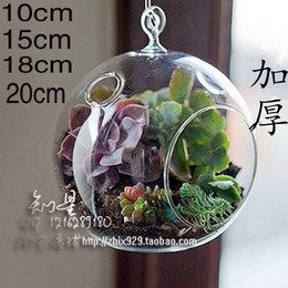 创意吊挂透明玻璃微景观花瓶多肉植物苔藓盆栽生态瓶活动装饰吊件