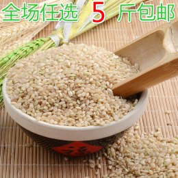 新糙米 沂蒙山区 大米有机糙米 有机胚芽营养大米 绿色食品 包邮