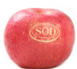 灵宝苹果SOD新鲜脆甜红富士苹果平安果礼盒装80#寺河山苹果包邮