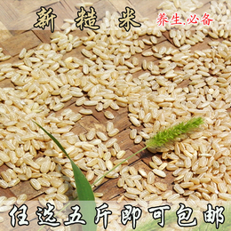 新糙米安徽山区大米有机糙米250g有机胚芽营养大米绿色食品满包邮