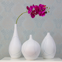 白色创意花瓶陶瓷 简约餐桌花艺套装干花花插客厅装饰摆件