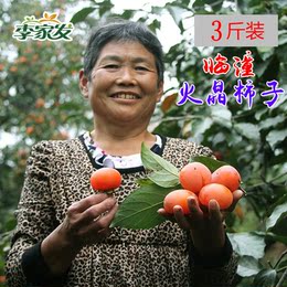 【李家发】 正宗临潼火晶柿子陕西特产新鲜水果时令小甜柿3斤包邮