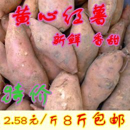 农家特产 新鲜黄心红薯 红薯 地瓜 番薯 甜红薯非紫薯 8斤包邮