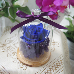 永生花玻璃罩进口真花玫瑰保鲜花礼盒礼品创意生日礼物 顺丰快递