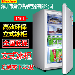包邮冰柜家用 小型冰柜冷冻小冰柜侧开门立式迷你冰柜冻冰箱冰柜