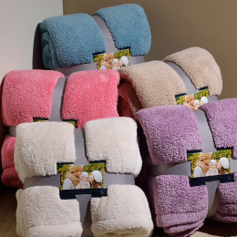双层仿羊羔绒毛毯加厚珊瑚绒毯被子沙发毯子冬季盖毯宿舍单人双人