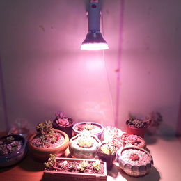 全光谱阳光植物灯发财树茎叶多肉类植物专用补光灯花卉植物生长灯