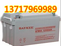 BAYKEE阀控密封式铅酸蓄电池6FM65柏克免维护12V65AH采矿系统包邮