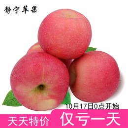 【天天特价】甘肃苹果水果新鲜5斤静宁红富士水果苹果现摘现发