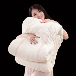 棉被加厚秋冬棉芯学生单人宿舍褥子单人1.2m床双人床褥被子棉花被