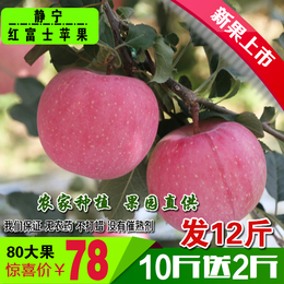 甘肃水果苹果静宁红富士苹果新鲜苹果水果12斤80MM包邮