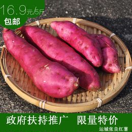 新鲜现挖红薯地瓜农家自种绿色食品生番薯黄心山芋香薯 5斤装
