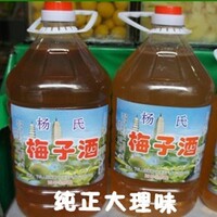 云南大理特产 青梅酒雕梅酒 杨氏梅子酒（36度）2年半陈酿 包邮