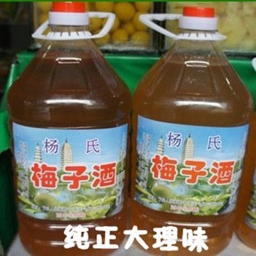 云南大理特产 青梅酒雕梅酒 杨氏梅子酒（36度）2年半陈酿 包邮