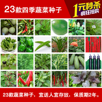 四季蔬菜种子24种小白菜香菜萝卜辣椒草莓茄子香葱韭菜苦瓜包邮