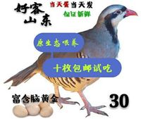 【天天特价】鹧鸪蛋飞龙蛋野鸽子蛋宝宝孕妇老年人营养品单个价格