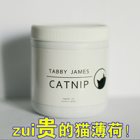 TABBY JAMES进口猫薄荷纯天然薄荷叶提高免疫猫零食猫非猫草种子