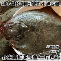 鲜活海鲜水产新鲜多宝鱼大菱鲆比目鱼鲜活多宝鱼包鲜包活包邮