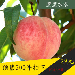 农家现摘新鲜桃子水果山西运城水蜜桃水果桃子4.8斤装非黄桃油桃