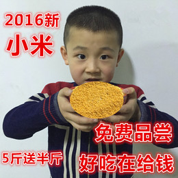 2016年新磨小米东北农家新米500克月子黄小米非转基因小黄米