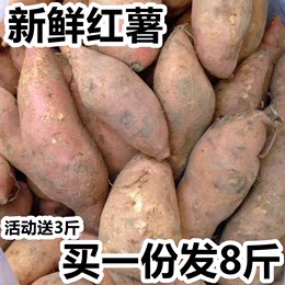 【天天特价】农家新鲜红薯 黄心红薯 番薯 地瓜 甜红薯 5斤装包邮